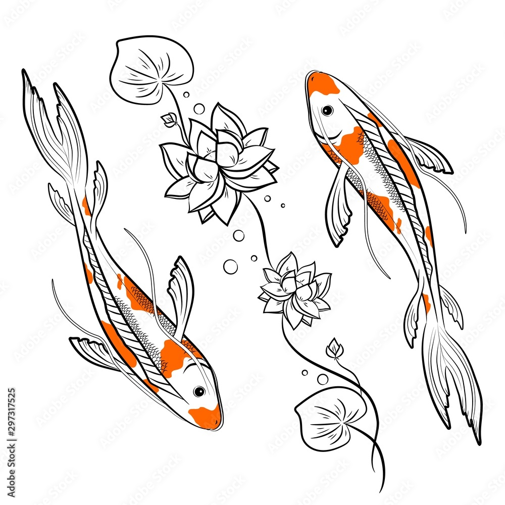 Page 2 Koi fish top view Vectors & Illustrations for Free, lilykoi