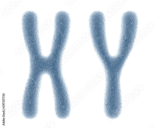 Chromosomes