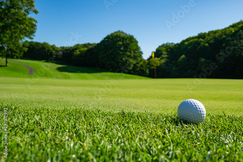 View of Golf Course with beautiful putting green. Golf course with a rich green turf beautiful scenery.