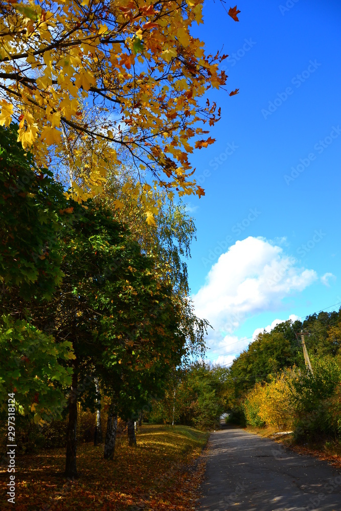 Beautiful autumn rural landscape. Yellow and green leaves against blue sky.