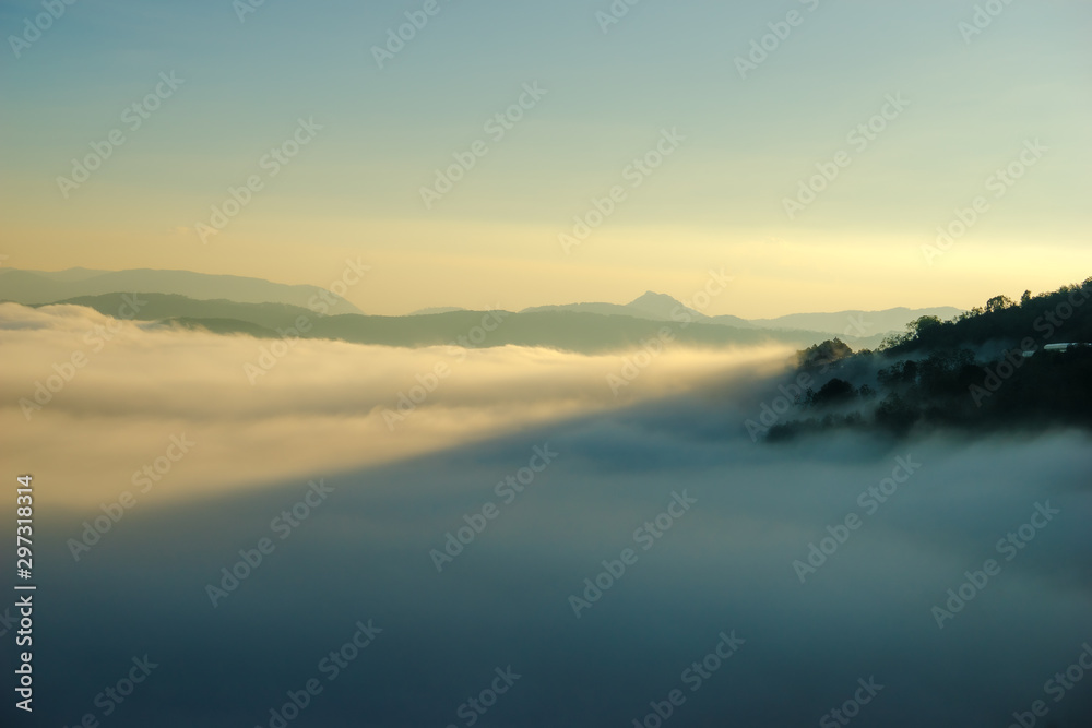 beatyful lanscape of DaLat, viet nam the sun and the pine hill in mist
