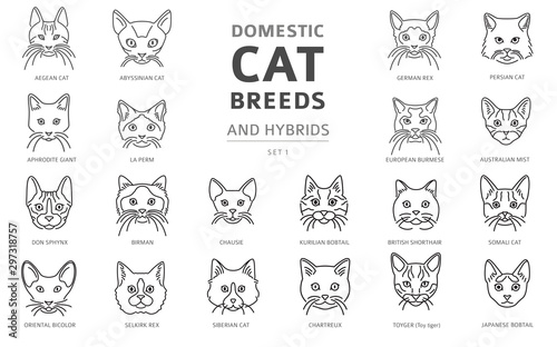 Domestic cat breeds and hybrids linear portraits collection isolated on white. Simple line cat`s head style set