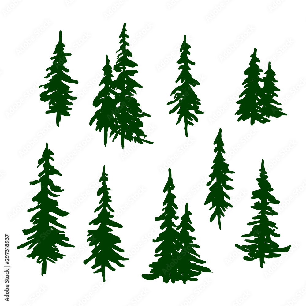 Green pine trees set for Christmas and New Year decoration. Vector