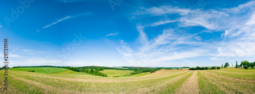Panorama of summer green field. European rural view. Beautiful landscape of wheat field and green grass with stunning blue sky and cumulus clouds in the background.