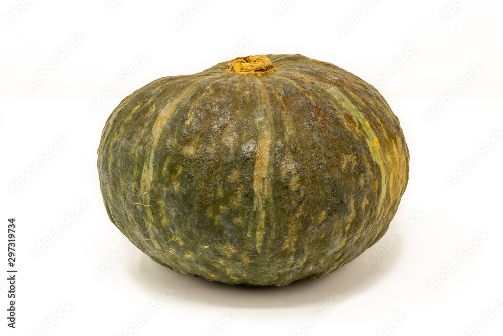 zucca verde isolata su fondo bianco zucca verde isolata su fondo bianco