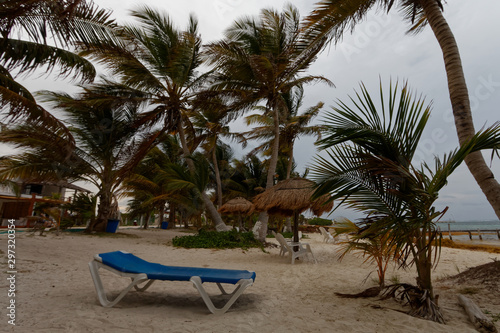 Meksykańskie palmy na wybrzeżu karaibskim © Miroslaw