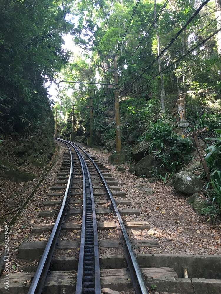 Fototapeta premium Forêt Corcovado