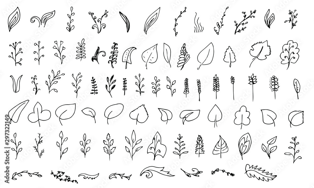 Set of hand drawn floral elements. Leaves, flowers, brunches in doodle sketchy style