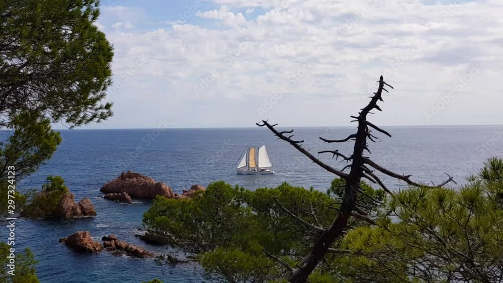 Pine forests line the rocks on the Mediterranean cost and sailing ship in the sea Pine forests line the rocks on the Mediterranean cost and sailing ship in the sea