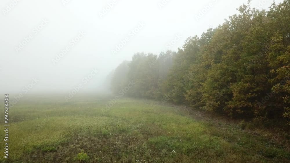 Aerial fly near autumn trees in mystic forest and fog Aerial fly near autumn trees in mystic forest and fog
