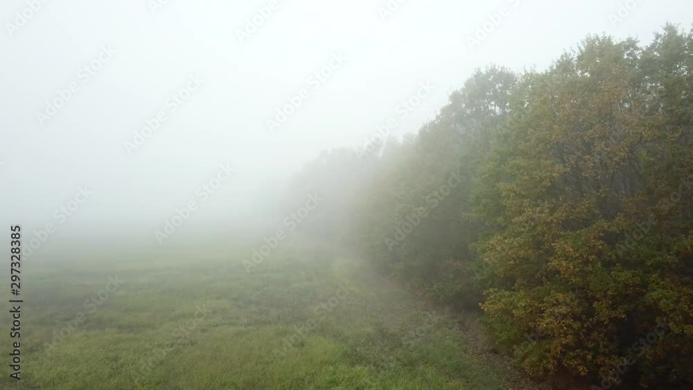 Aerial fly near autumn trees in mystic forest and fog Aerial fly near autumn trees in mystic forest and fog