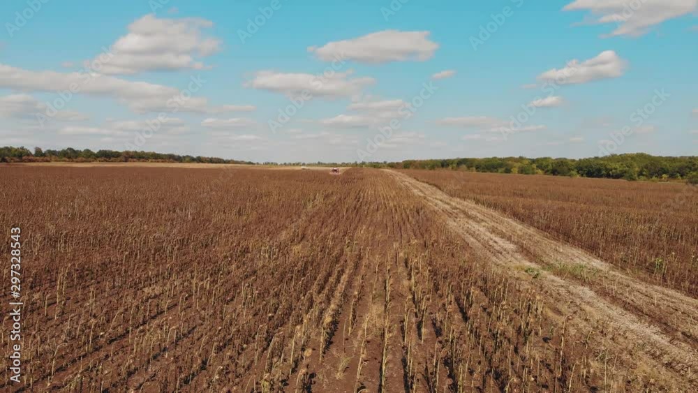 Aerial view combine harvesting on sunflower field. Mechanized harvesting sunflower. Large field of dry sunflower. Crop in the field on a sunny day. Autumn harvest. Aerial view combine harvesting on sunflower field. Mechanized harvesting sunflower. Large field of dry sunflower. Crop in the field on a sunny day. Autumn harvest.