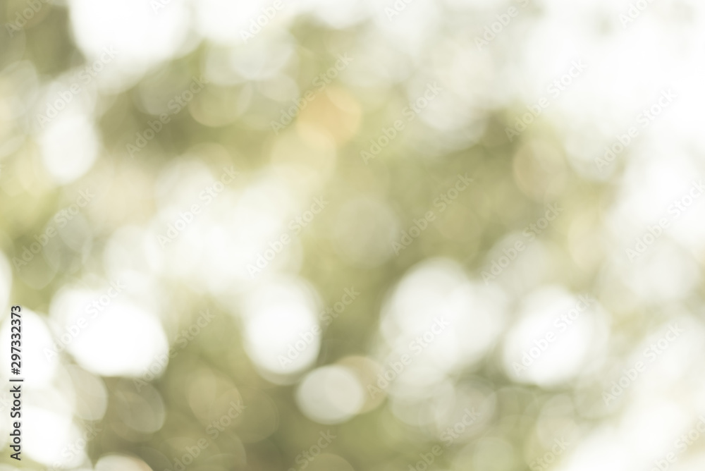 green bokeh background abstract