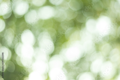 green bokeh background abstract