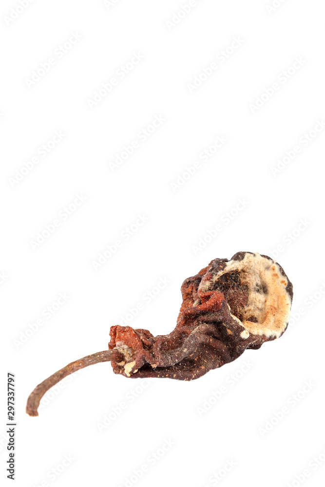 Rotten pear isolated on a white background