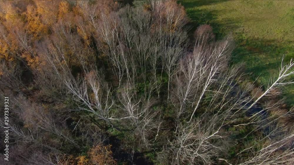 Aerial: Flight Over Trees Without Leaves Aerial: Flight Over Trees Without Leaves