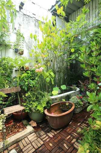 Small garden in a limited area. A small garden in the city on the roof of a commercial building.
