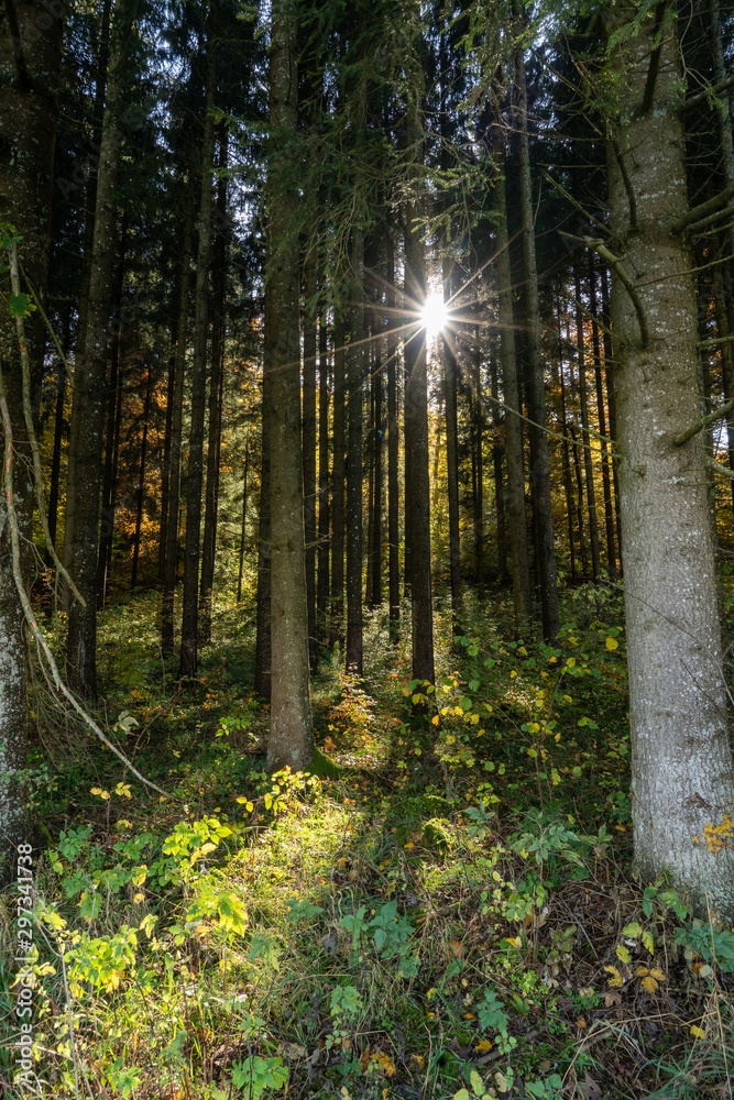 Fototapeta premium Neunhundert nach Christus Mittelalter Deutschland