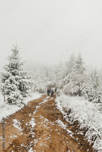 A group of tourists walking through the winter foggy snow-covered forest. Vertical view from the back