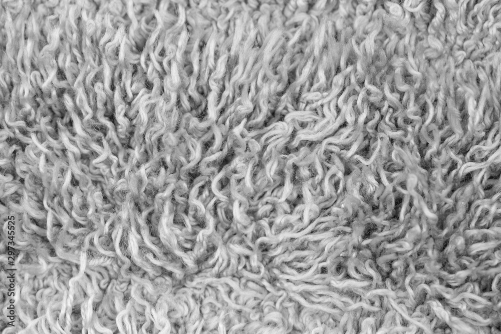 White real animal sheep wool closeup background texture White real animal sheep wool closeup background texture