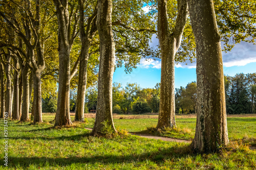 the Canal du Midi, near Toulouse, South of France