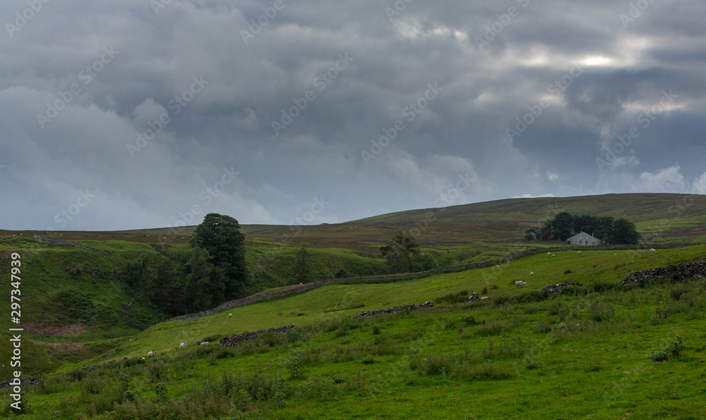 Fototapeta premium Wensleydale