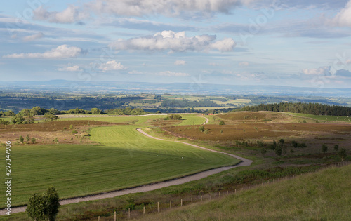 Milleham Gallops