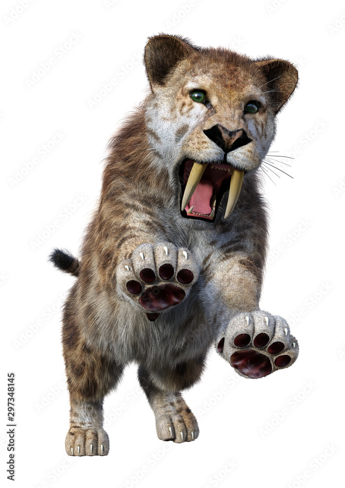 Obraz premium 3D Rendering Sabertooth Tiger on White