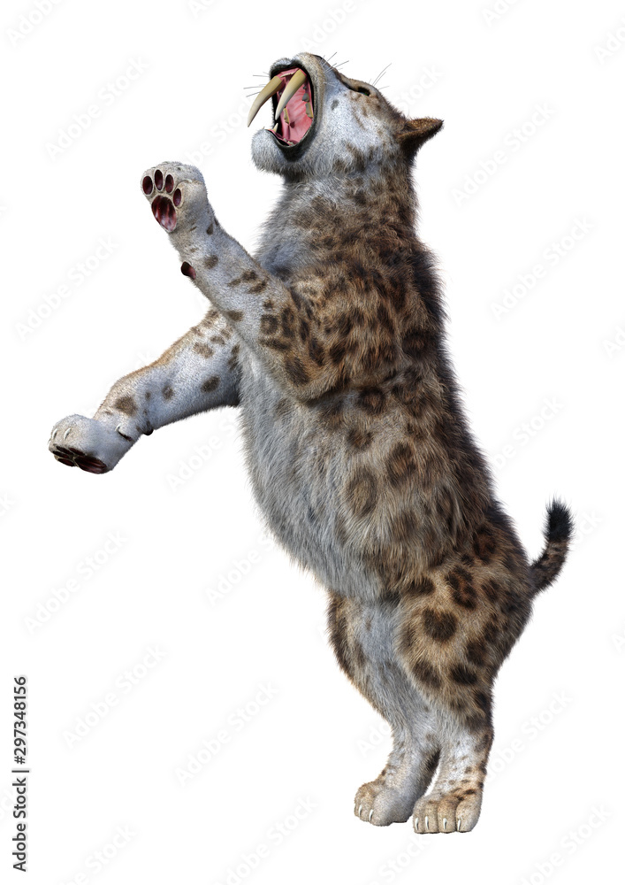 Naklejka premium 3D Rendering Sabertooth Tiger on White
