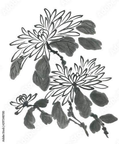 Chrysanthemum as a symbol of Japan and China. Contour flowers and leaves. Traditional oriental ink painting sumi-e, u-sin, go-hua. . © marinakutukova