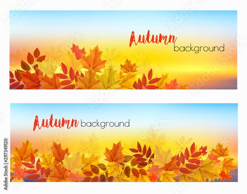 Two abstract autumn banners with colorful leaves and berries. Vector