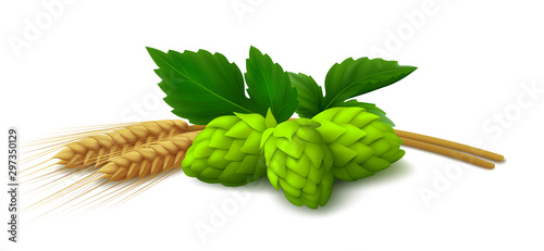 Bunch of green hop cones with leaves, ears of barley isolated on white background. Realistic vector illustration.