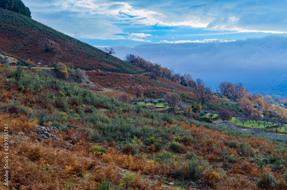 Colorful Pastures Of The Sierra De Gredos In The Castro Veton Of El Freillo. December 15, 2018. El Raso Avila Castilla Leon Spain Europe. Travel Tourism Street Photography.