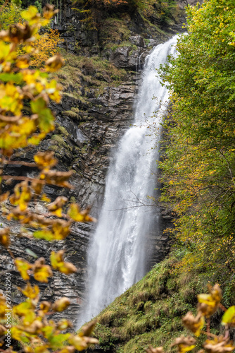 waterfall in the forest