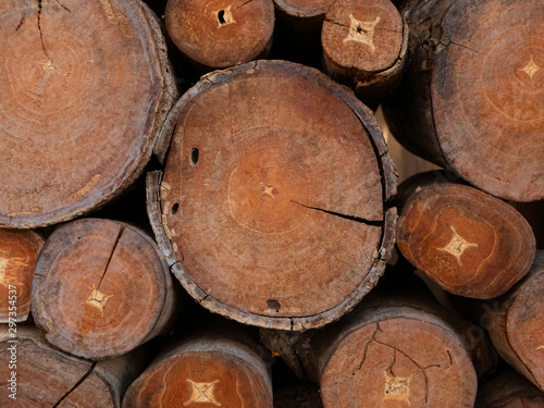 A pile of cut wooden trunks