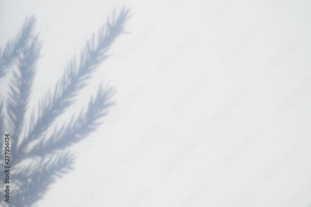 shadow from a christmas tree branch on a white-gray background of a textured surface of a wall or table. space for text