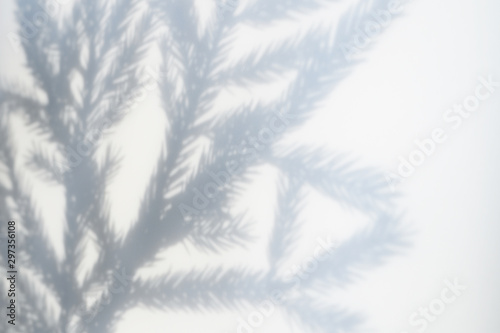 shadow from a christmas tree branch on a white-gray background of a textured surface of a wall or table. space for text