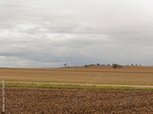 Paysage du Centre de la France. La plaine de la grande Limagne en automne entre Gannat en Allier et Riom dans le Puy-de-Dôme avec la chaine des Puys à l'horizon