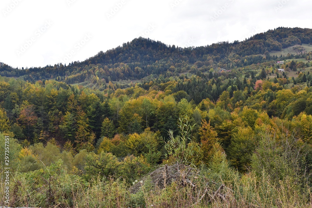 Autumn forest, in the Carpathian Mountains of Romania, Transylvania.