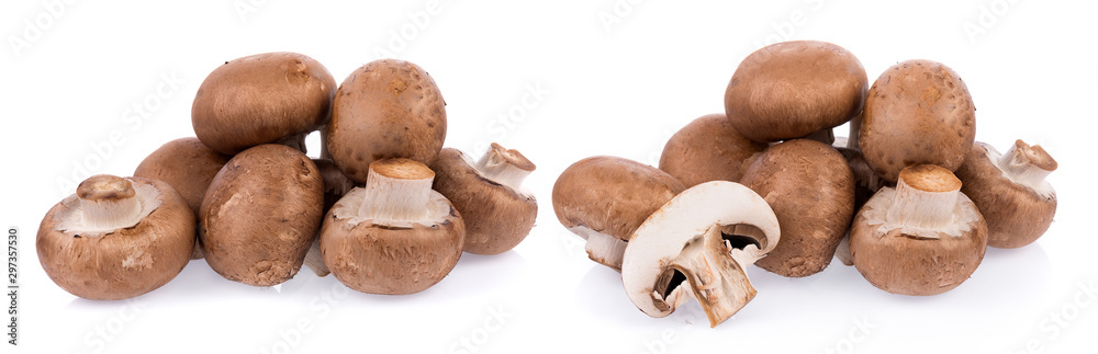 Mushroom champignon isolated on white background Mushroom champignon isolated on white background