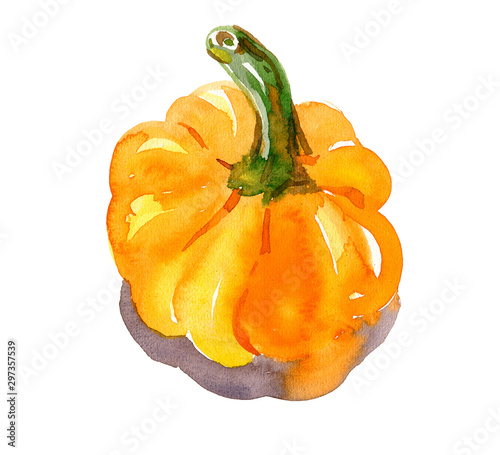 Watercolor hand-drawn sketch. Pumpkin shadowless autumn harvest halloween. Illustration isolated on white