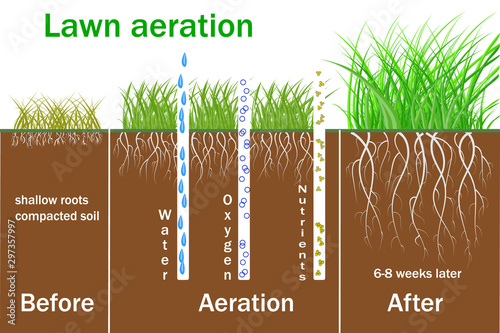 Lawn aeration for active plant growth. Free access of water and air to soil. Process steps before and after. Vector Lawn grass care service, gardening of lawns and landscape design services.