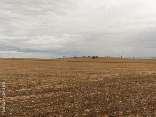 Paysage du Centre de la France. La plaine de la grande Limagne en automne avec ses champs agricoles entre Gannat en Allier et Riom dans le Puy-de-Dôme avec la chaine des Puys à l'horizon