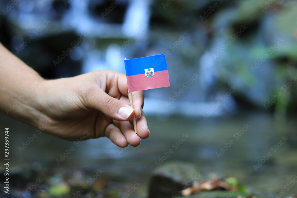 Φωτογραφία Afro american holds in hand national flag of Haiti on wooden stick