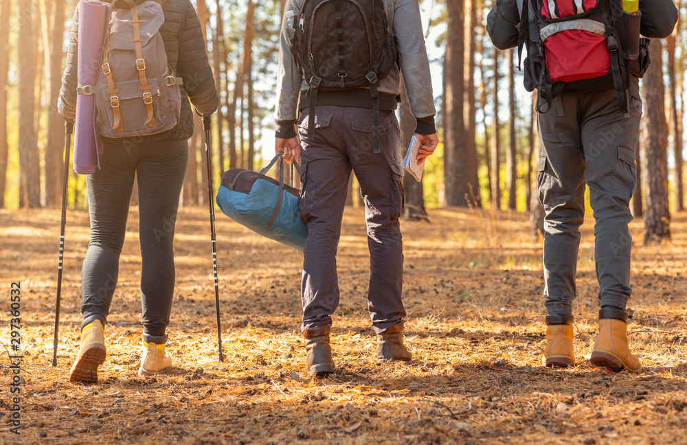 Cropped image of three hikers crossing forest in autumn Cropped image of three hikers crossing forest in autumn
