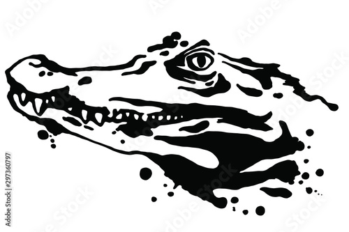 Crocodile isolated on white background. Vector grunge illustration design template.