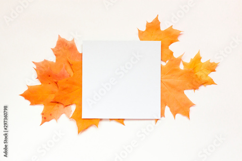 Autumn composition. Paper empty blank and orange leaves on white background. Flat lay, top view, copy space