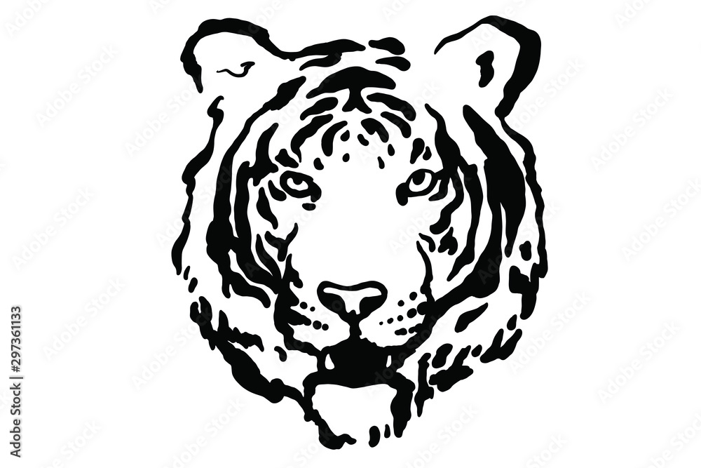 Tiger isolated on white background. Vector grunge illustration design template.