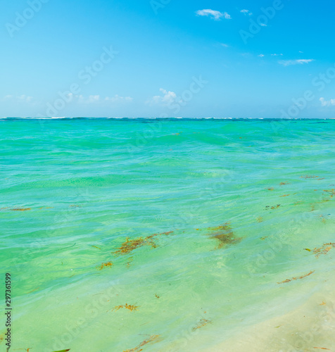 Turquoise water and blue sky in Guadeloupe