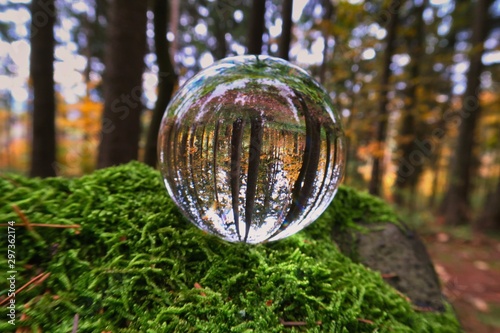 mit der glaskugel in den herbst